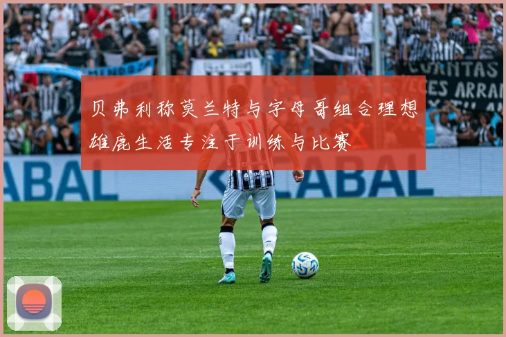 贝弗利称莫兰特与字母哥组合理想雄鹿生活专注于训练与比赛