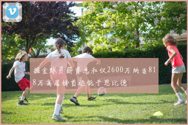 掘金球员薪资总和仅2600万纳吉818万高居榜首远低于恩比德