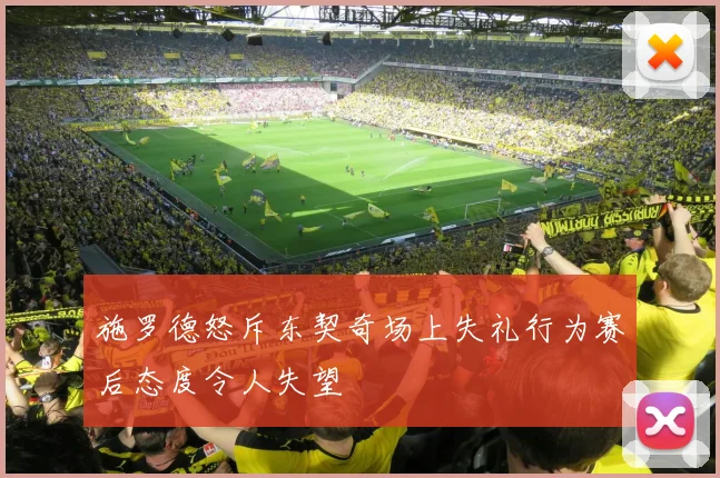 施罗德怒斥东契奇场上失礼行为赛后态度令人失望