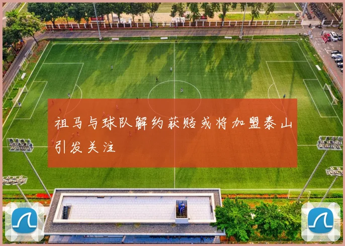 祖马与球队解约获赔或将加盟泰山引发关注